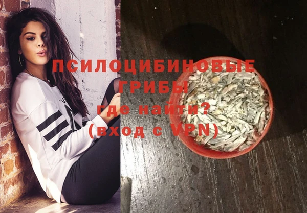 спайс Богородск