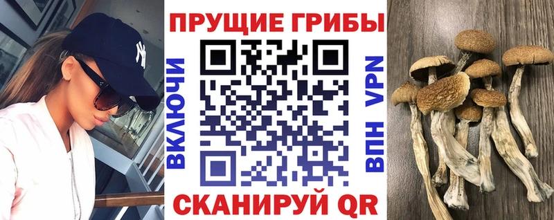 Галлюциногенные грибы MAGIC MUSHROOMS  mega рабочий сайт  Южно-Сахалинск 