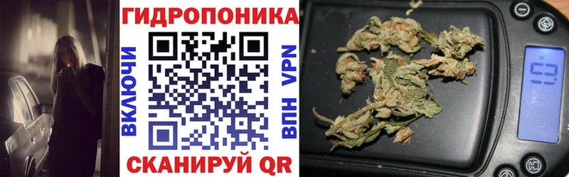 Бошки марихуана White Widow  shop телеграм  Южно-Сахалинск  что такое наркотик 